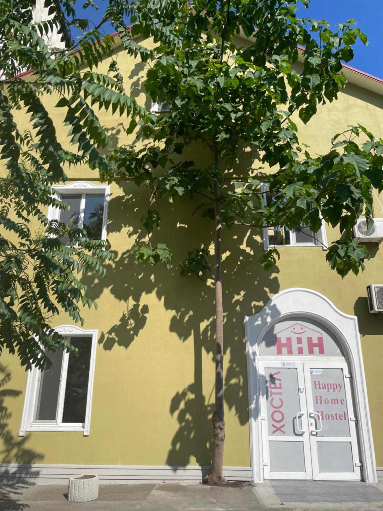 Happy Home Hostel オデッサ エクステリア 写真